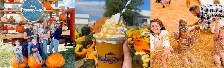 Pumpkin Patches